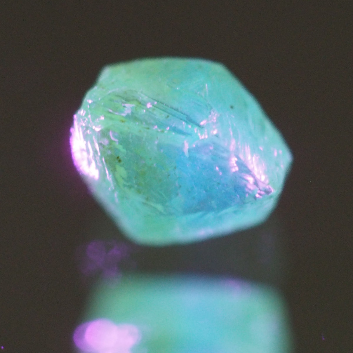 蛍光性 – ANOTHER DIAMOND