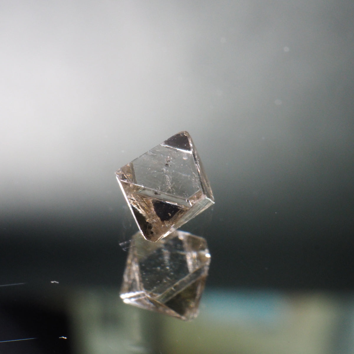 KG77701_1200x1200.jpg?v=1639379284